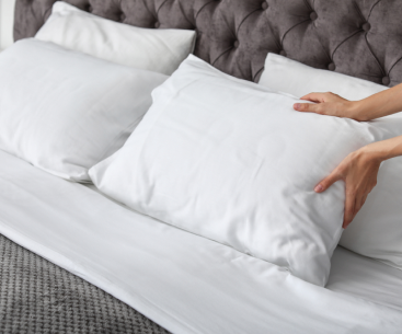 Fillers (Pillows/Comforters)